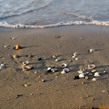 Delightful In Bibione