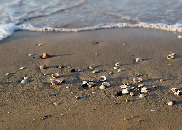 Delightful In Bibione